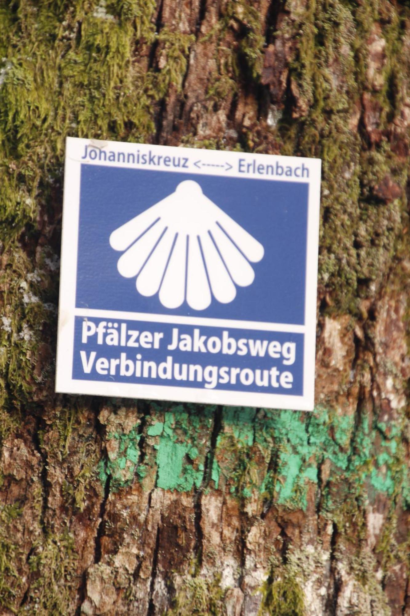 Ferienwohnung Ferienwohung Am Felsenwanderweg Im Pfaelzerwald Rodalben Exterior foto