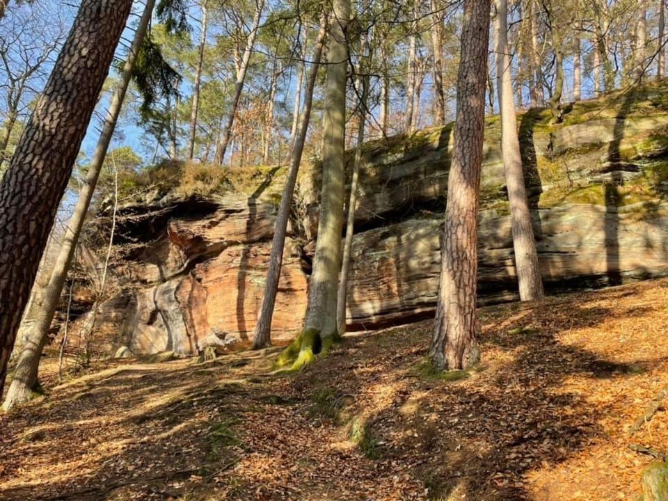 Ferienwohnung Ferienwohung Am Felsenwanderweg Im Pfaelzerwald Rodalben Exterior foto