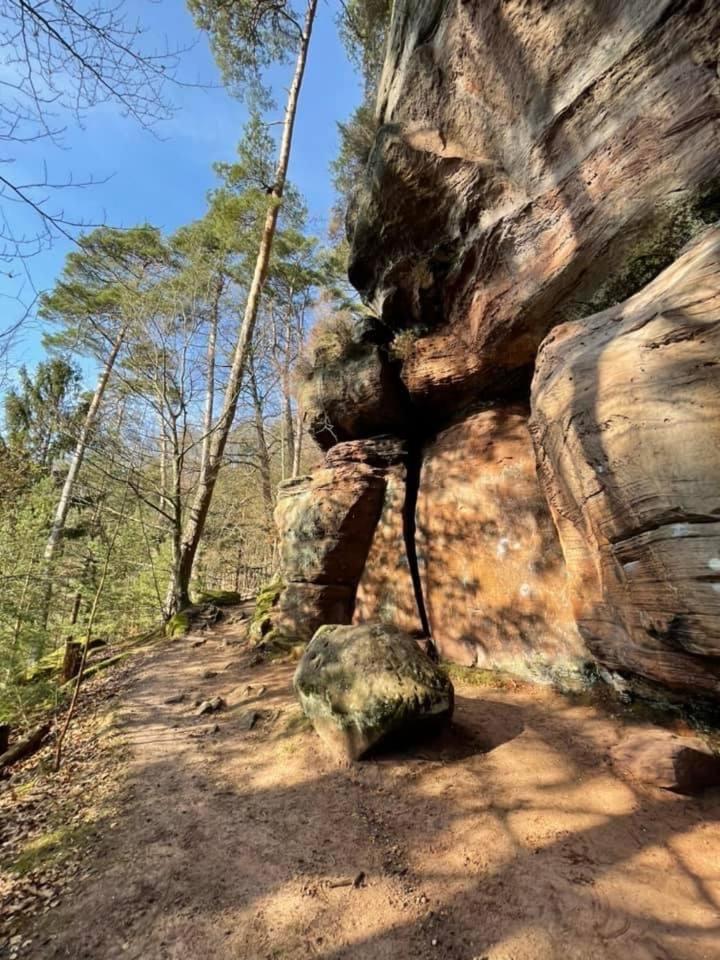 Ferienwohnung Ferienwohung Am Felsenwanderweg Im Pfaelzerwald Rodalben Exterior foto